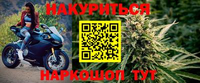 стаф Кандалакша
