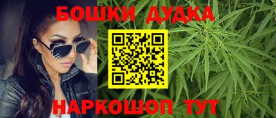 стаф Кандалакша