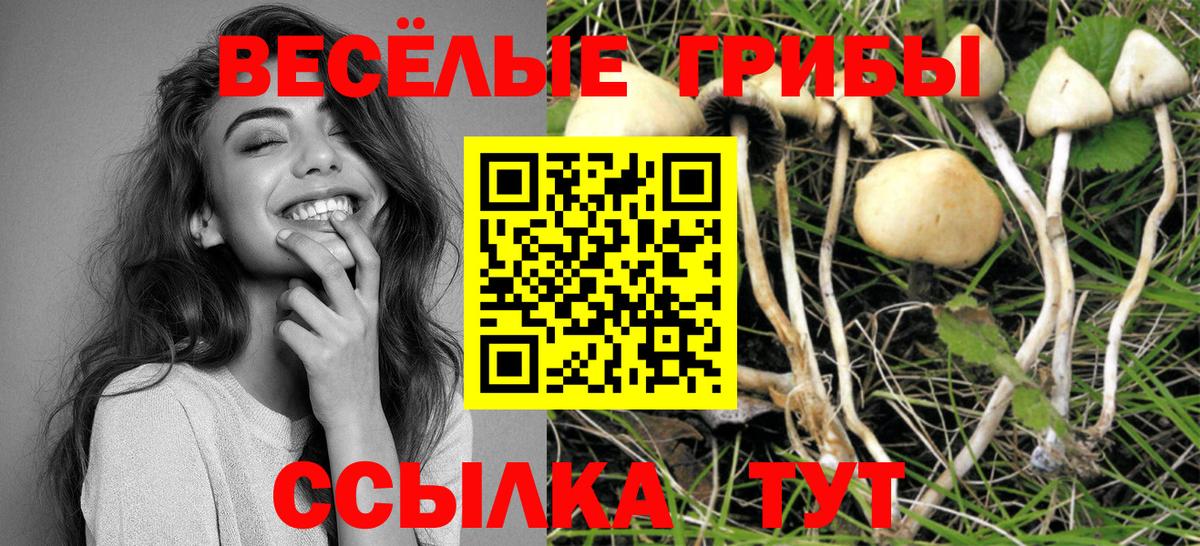 Псилоцибиновые грибы мицелий Лангепас