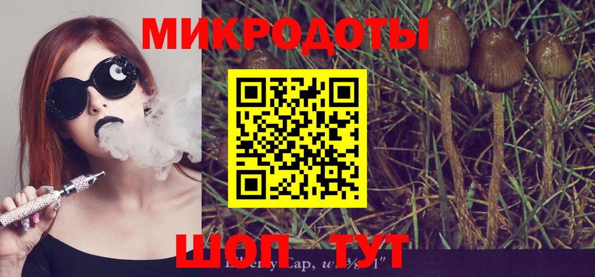 Псилоцибиновые грибы Psilocybine cubensis  Псилоцибиновые грибы мицелий  Вход с VPN  Лангепас 